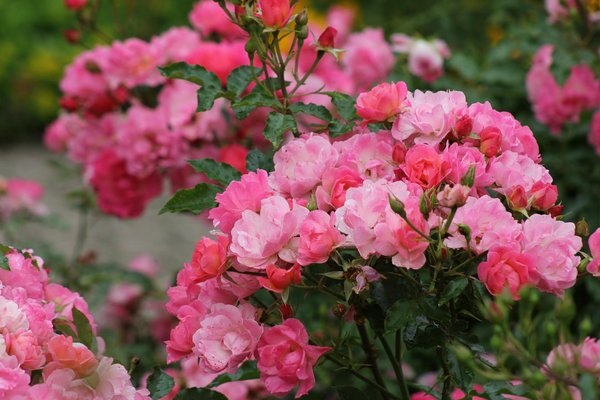 Designing the ultimate british teen retreat: a stylish and timeless oasis